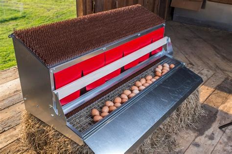 metal chicken coop nesting boxes|easy nesting boxes for chickens.